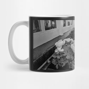 City centre window boxes Mug